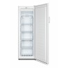 Hisense FF176FWE